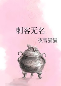 刺客无名附带番外txt